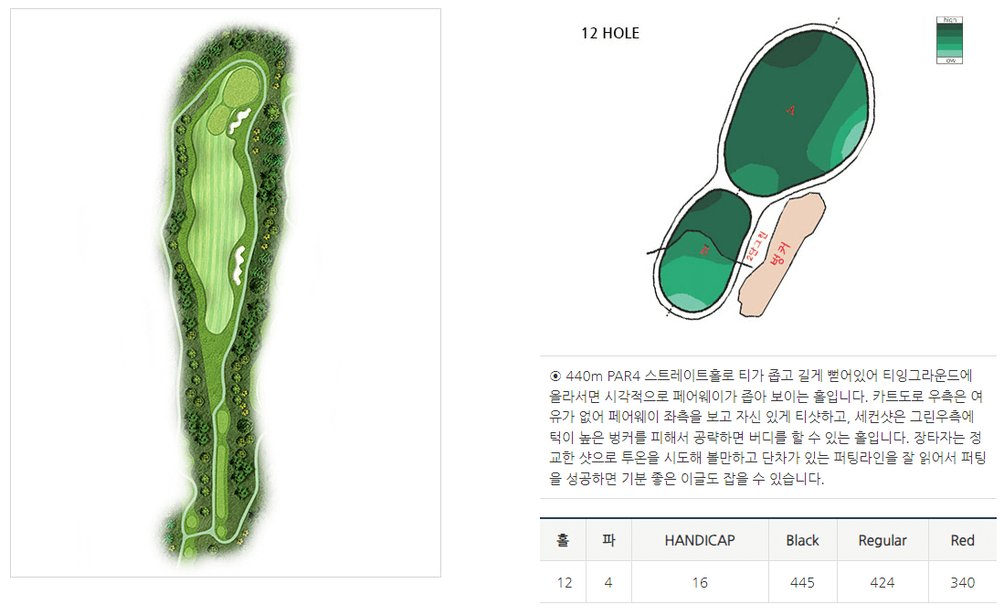 루나힐스안성 컨트리클럽 버치힐코스 3