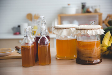 콤부차효능부족증상