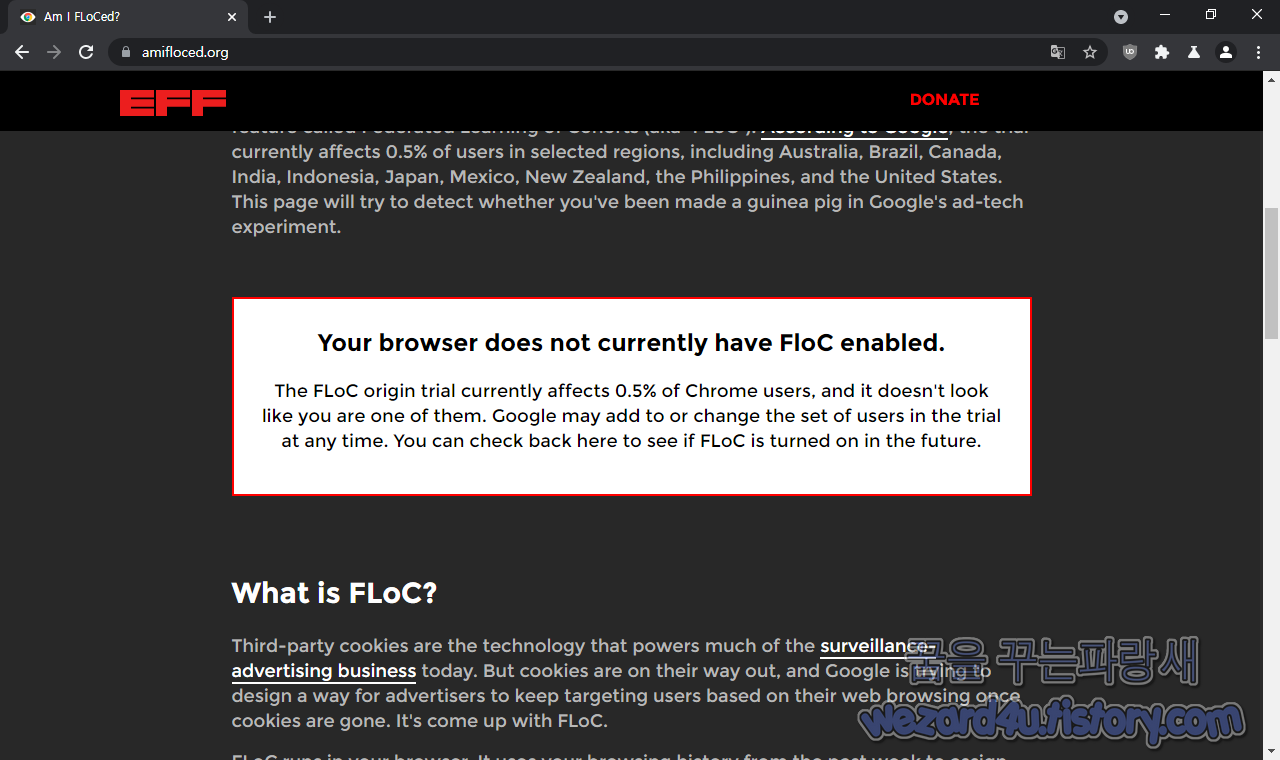 구글 크롬에서 FLoC 확인 방법