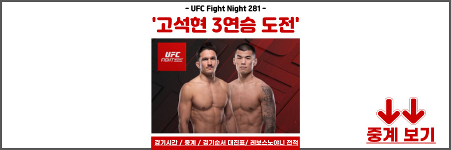 고석현 UFC Fight Night 281