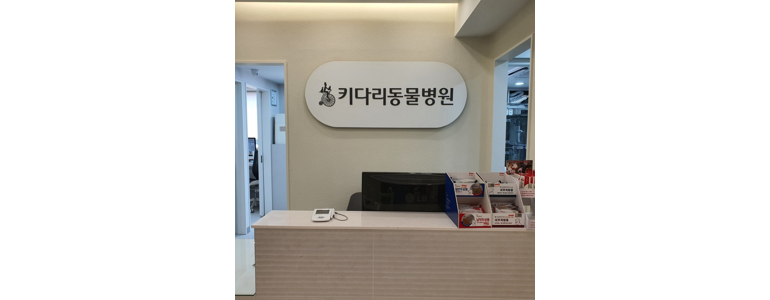 서울 마포구 동물병원