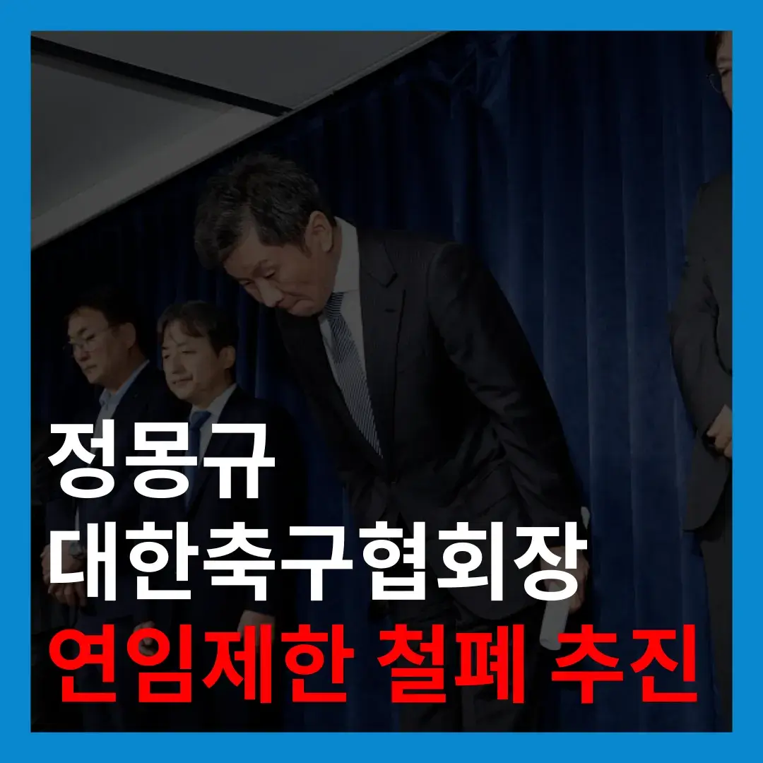 대한축구협회장-연임제한-철폐
