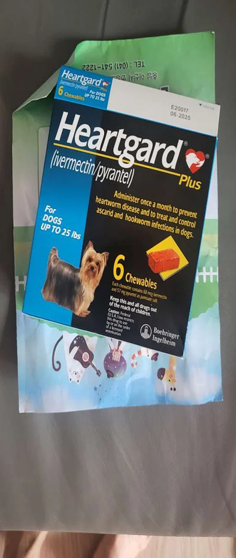 온양동물병원