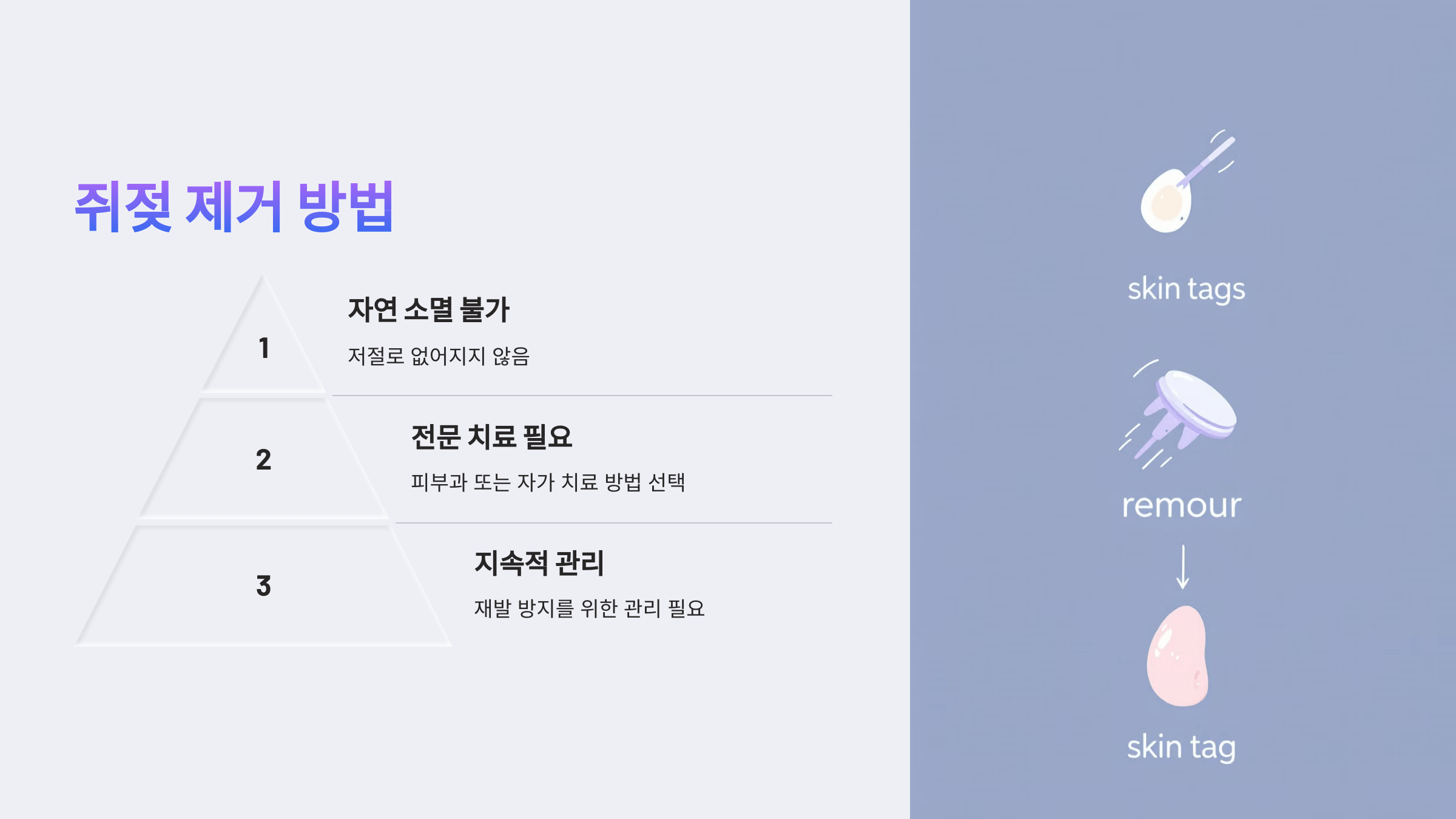 쥐젖과 관련된 사진입니다.