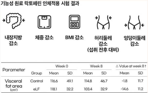 락토페린 인체적용 실험