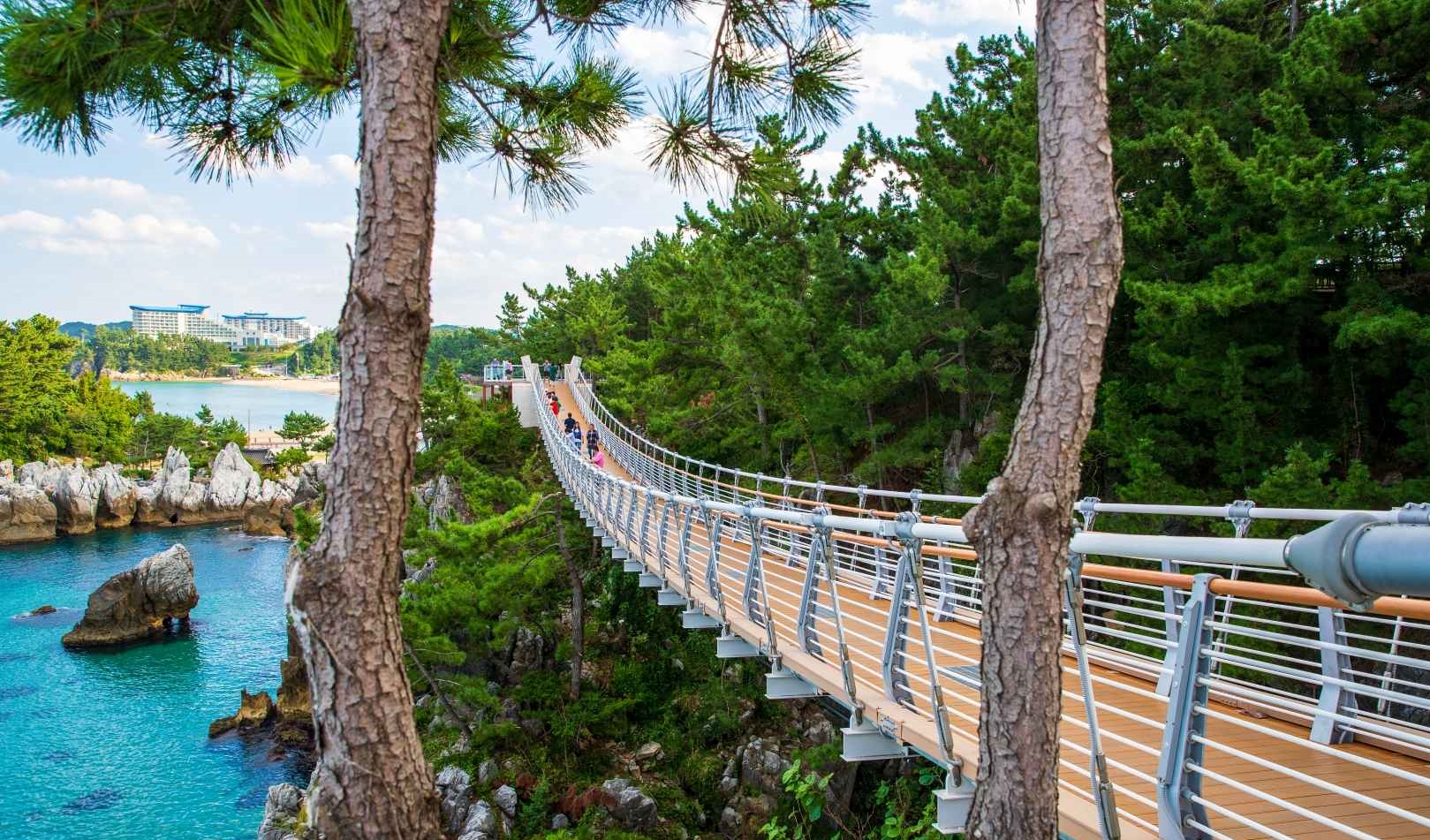 동해 추암 출렁다리