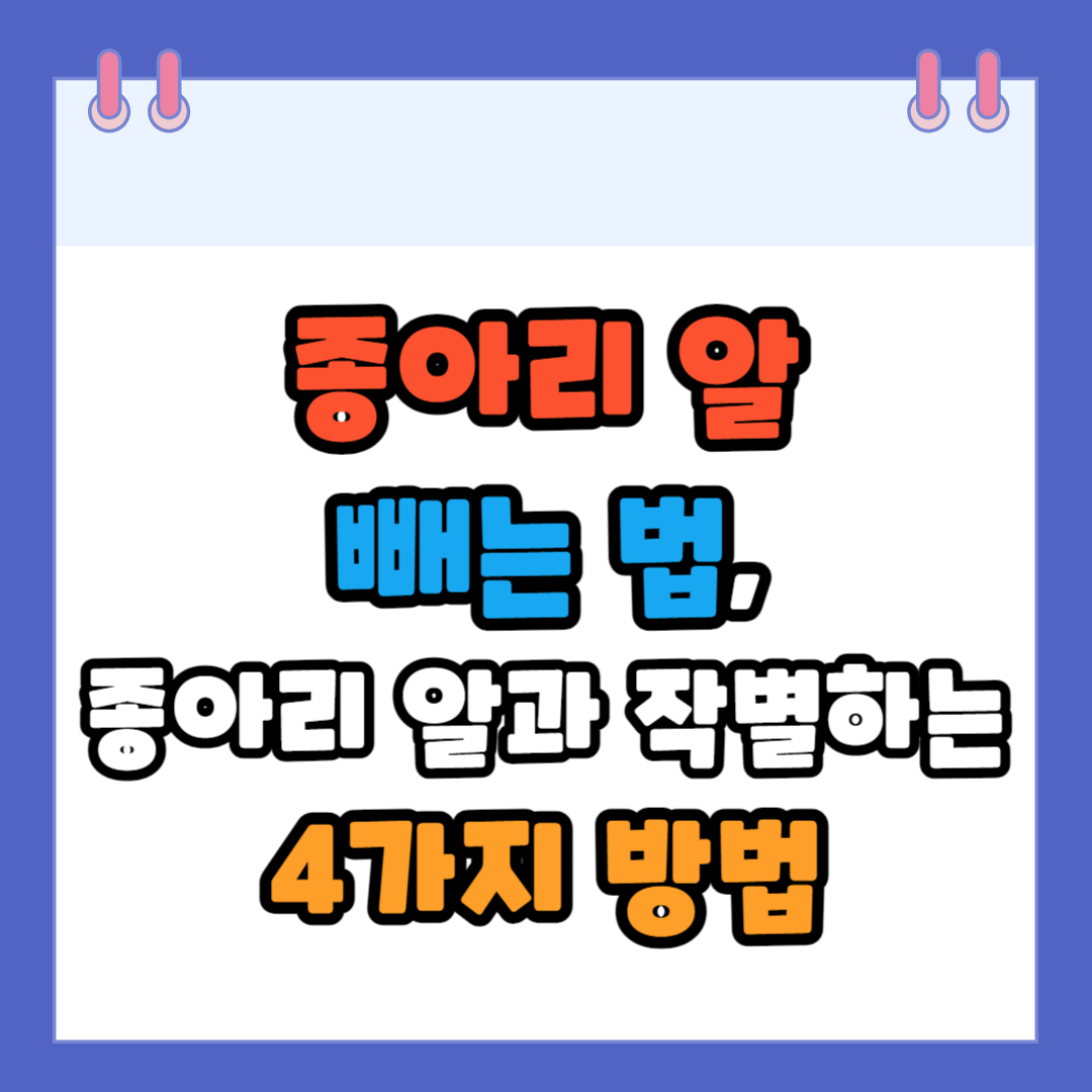 종아리 알 빼는 법