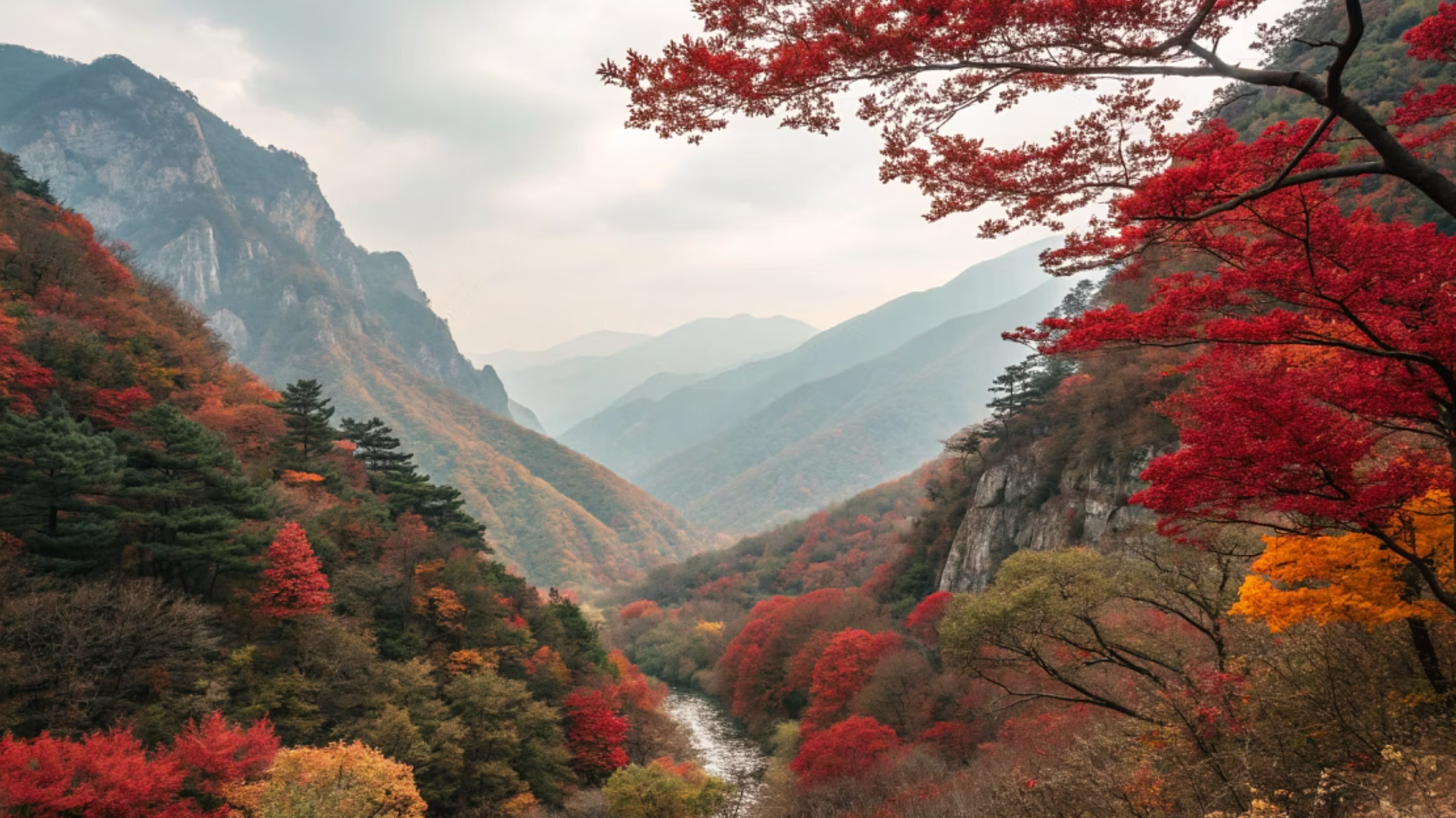 10월 주말 나들이 추천 가을 단풍 절정 계곡 명소 인포그래픽