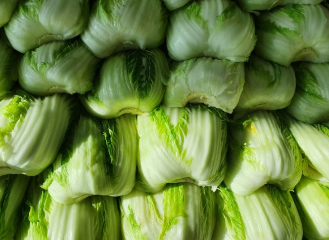 절임배추 절인배추