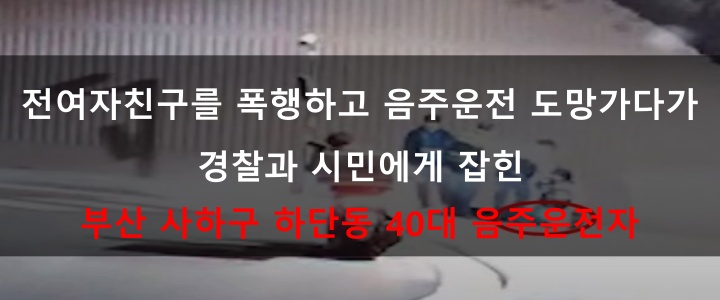 2023. 03. 29. 부산 사하구 하단동_전 여자친구를 폭행하고 경찰을 피해 0.121% 음주수치로 도망하가 테이저건을 맞고 잡힌 음주운전자 (사진출처: 부산경찰청)