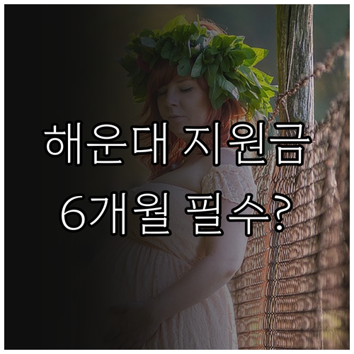 2025 해운대구 산후조리 지원금 6..