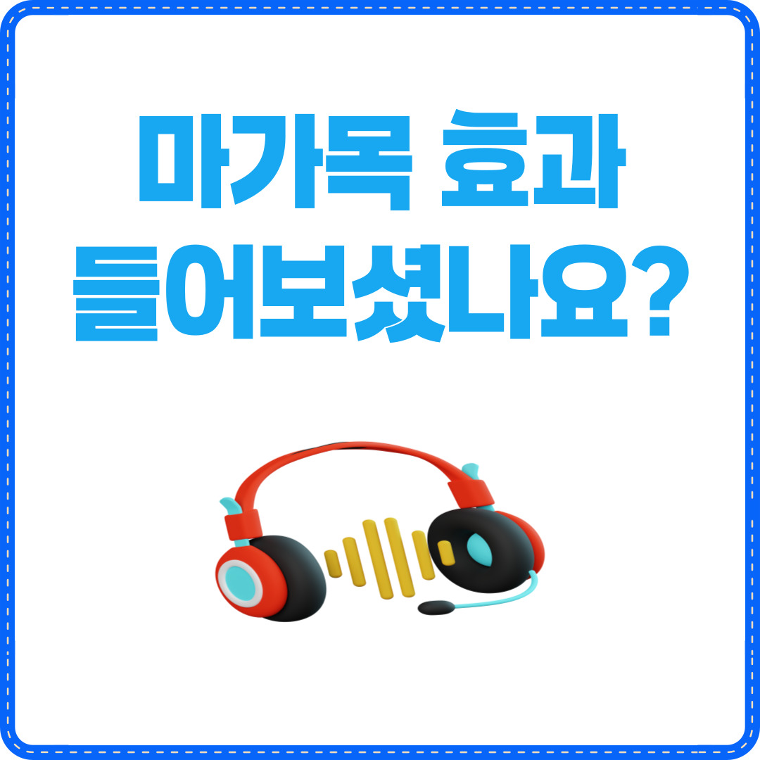 마가목 열매 효능 먹는방법