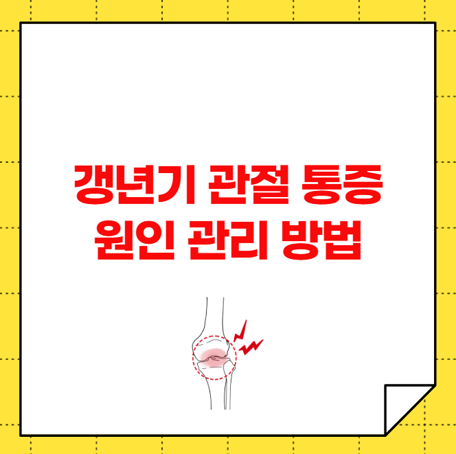 갱년기 관절 통증 원인 관리 방법