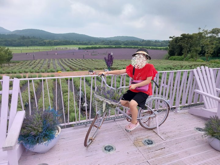 에코랜드 테마파크