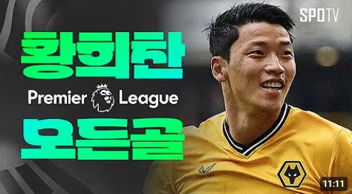 황희찬 울버햄튼, 새 사령탑 페리이라 감독 선임