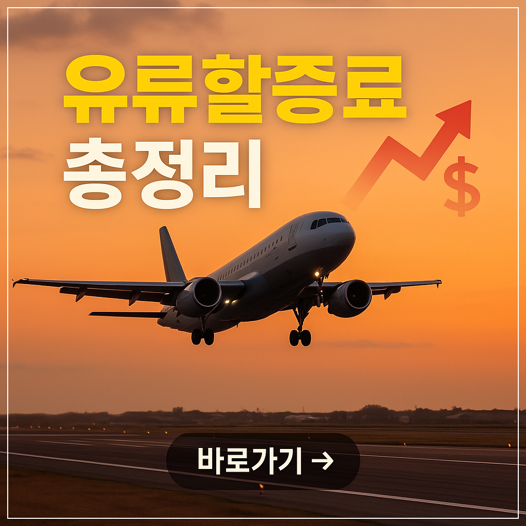 항공권 가격 왜 올랐나? 2025년 유류할증료 정리 :국내선·국제선 최신 요금표까지