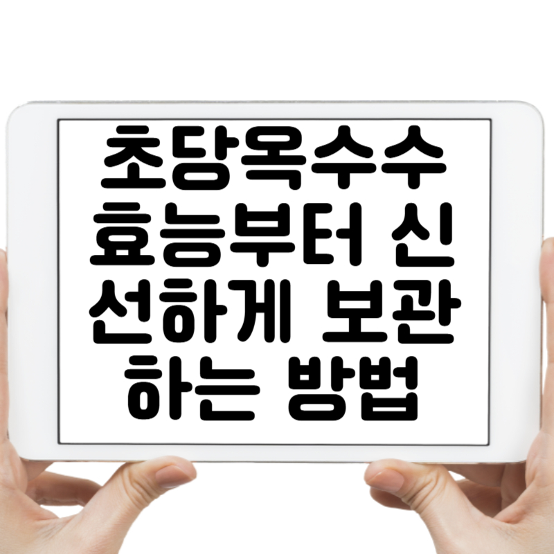 초당옥수수 효능부터 신선하게 보관하는 법까지 완전정복