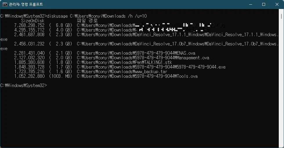 디스크 용량 확인하기 좋은 CMD 명령어 diskusage 사용법 사진5