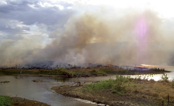 (탈모에 미치는 영향, 식습관과 환경오염) 에 관련 사진