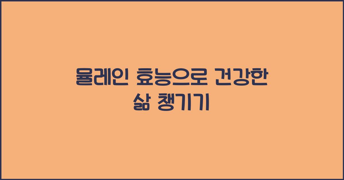뮬레인 효능