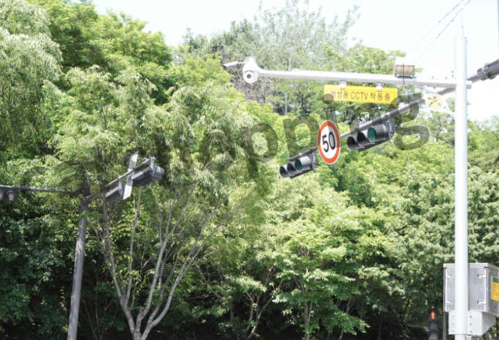 신호위반 카메라 작동