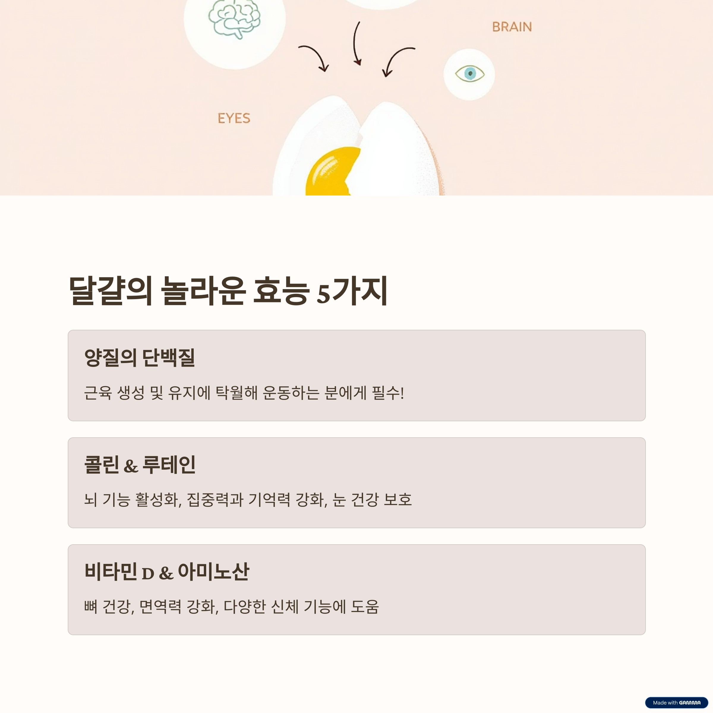 달걀, 왜 완전식품이라 불릴까요?