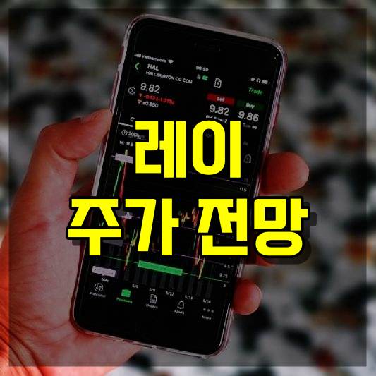 레이 주가 전망