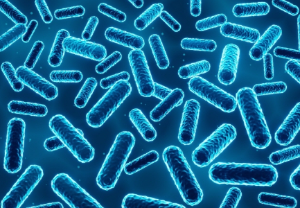 유산균 추천,프로바이오틱스