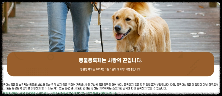반려동물 등록