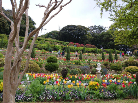 외도 보타니아 가는법 : 보타니아 유람선 시간표, 배타는 곳, 보타니아 입장료, 예약 방법 총정리
