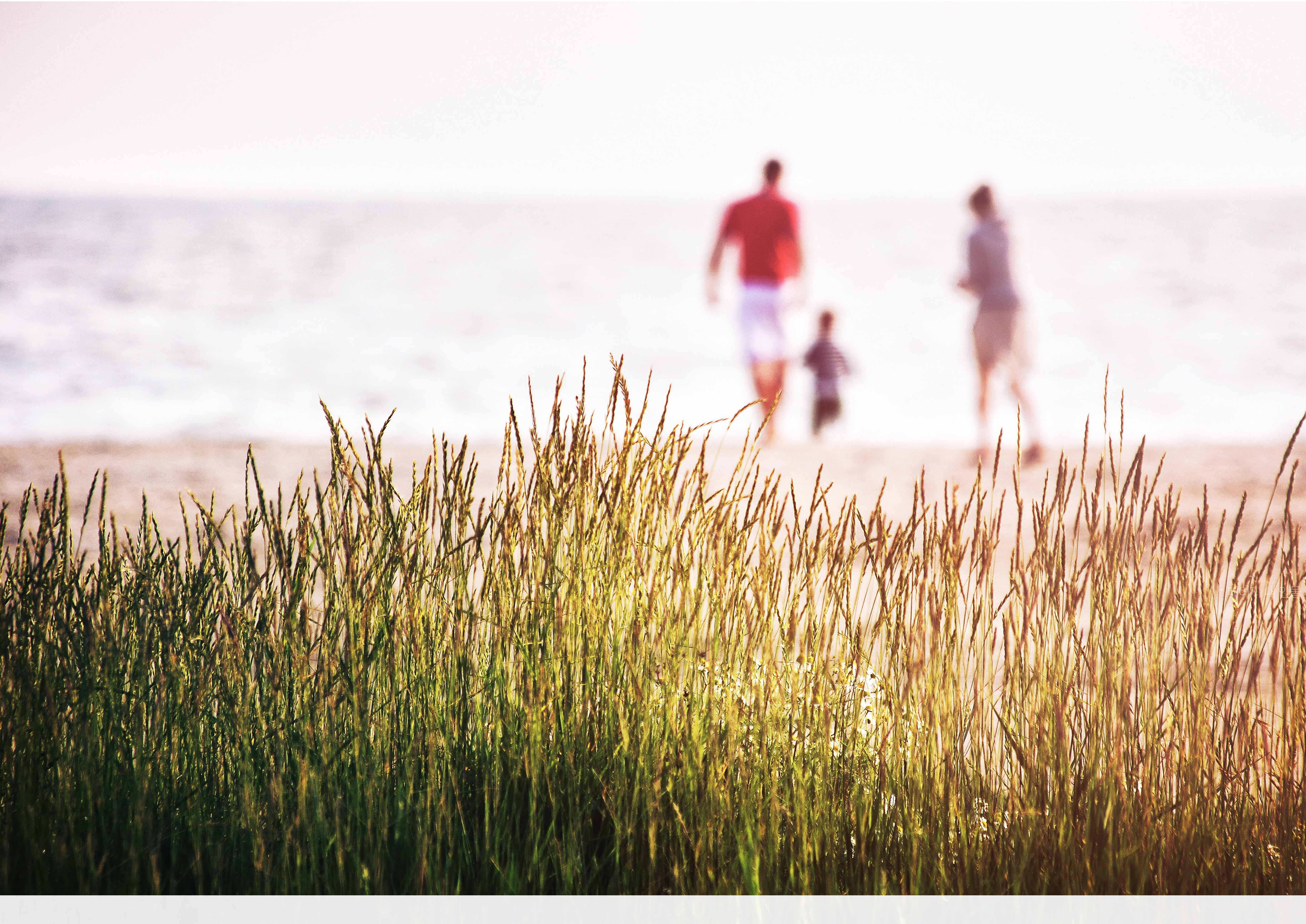 사망보험금 지급 절차, 유가족이 알아야 할 것들