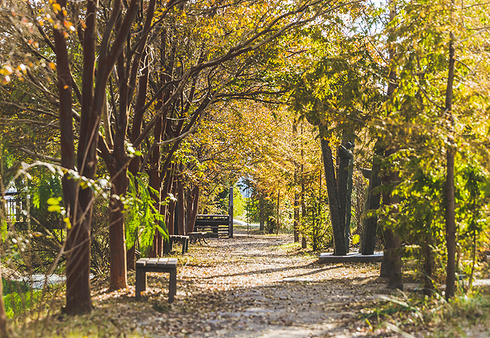 청산수목원 테마 정원으로 떠나는 태안 여행