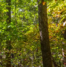 가을 단풍 구경 BEST 5 &mdash; 2025년 놓치면 아쉬울 국내 명소