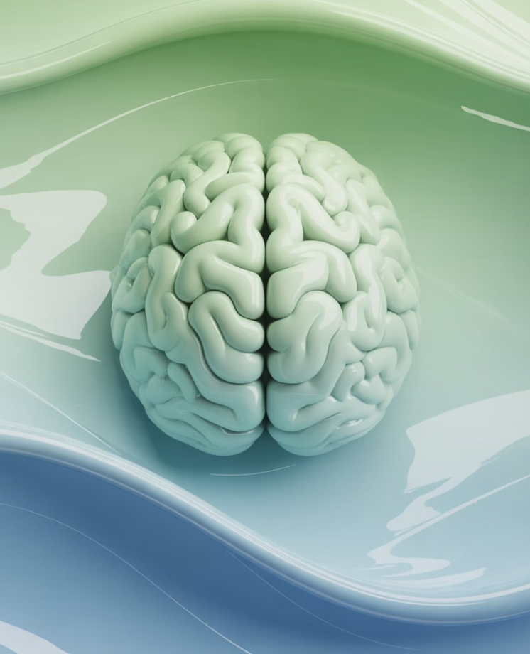 곤두선 신경을 잠재우는 '천연 진정제'