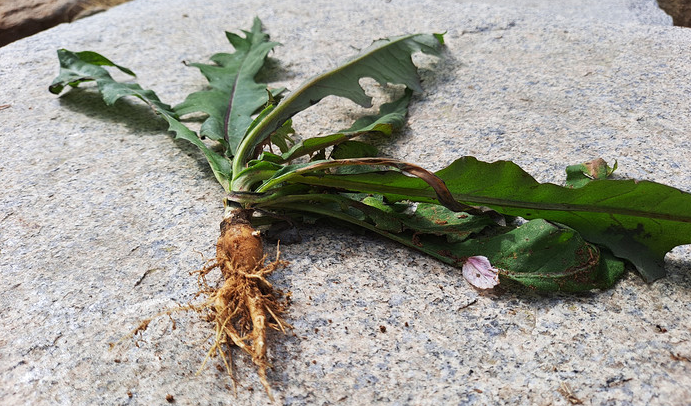 3월 제철음식 완결편 (수산물&#44;해산물&#44;채소&#44;과일)