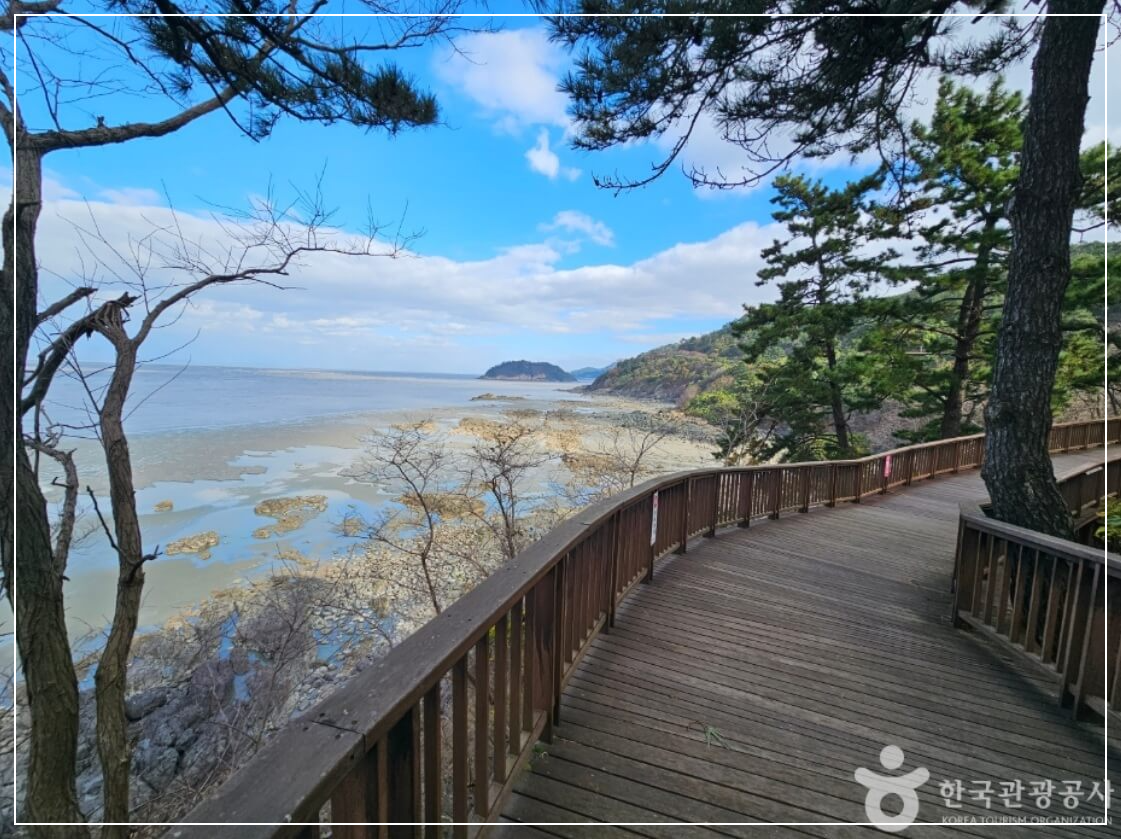 영광 가볼만한곳 베스트10 백수해안도로