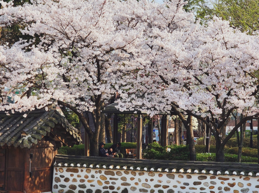 화도진공원