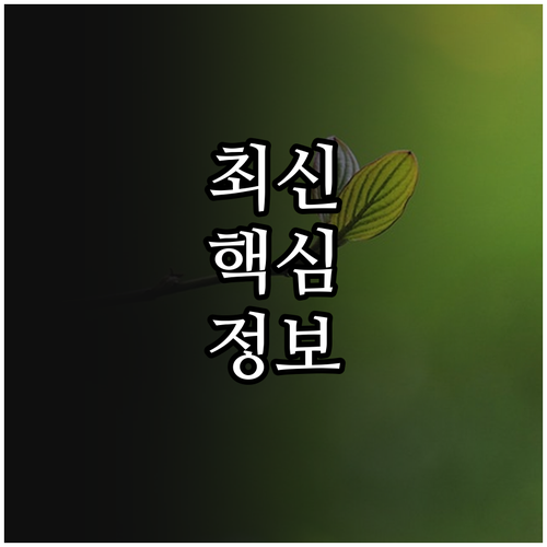 2025 여성가족부 이주여성 폭력 피..