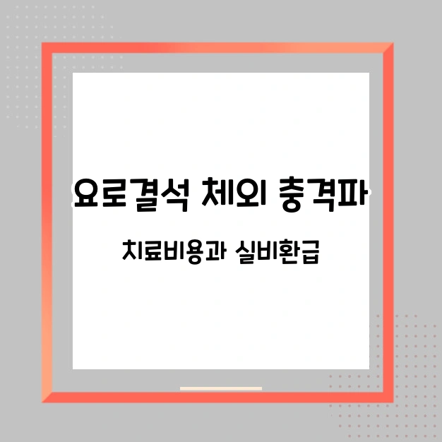 요로결석 체외 충격파