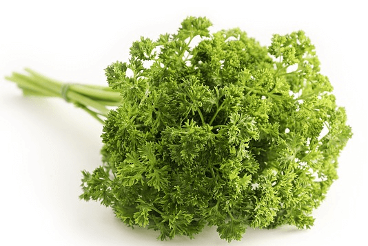 초록색의 풍성한 파슬리 한 다발이 옆으로 누워 있는 장면이다.