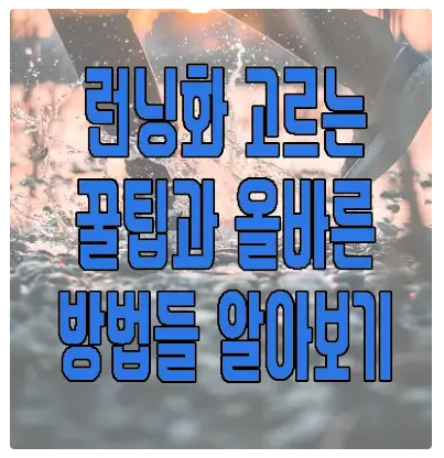 런닝화 계급도에 관한 글 보러 가기 링크 사진
