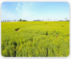 폭싹 속았수다 - 고창 학원농장 입장료
