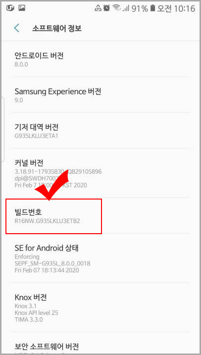 빌드 번호