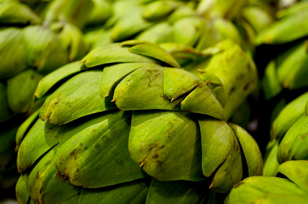 Artichoke