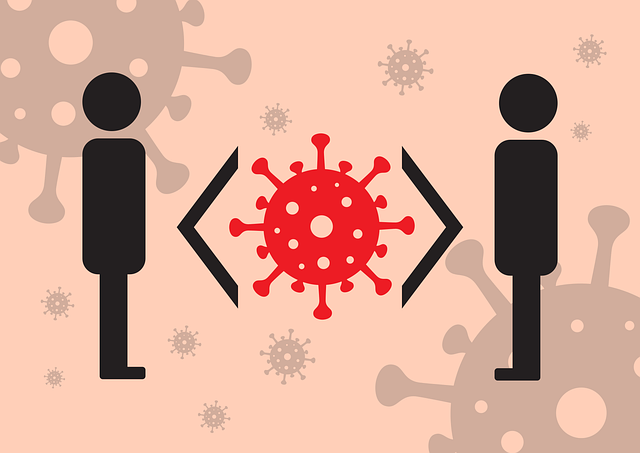 면역의 개념과 세포 및 면역계통 질병