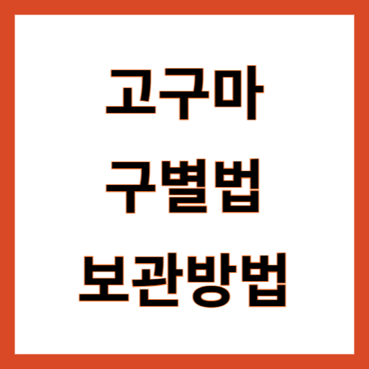 고구마 보관방법