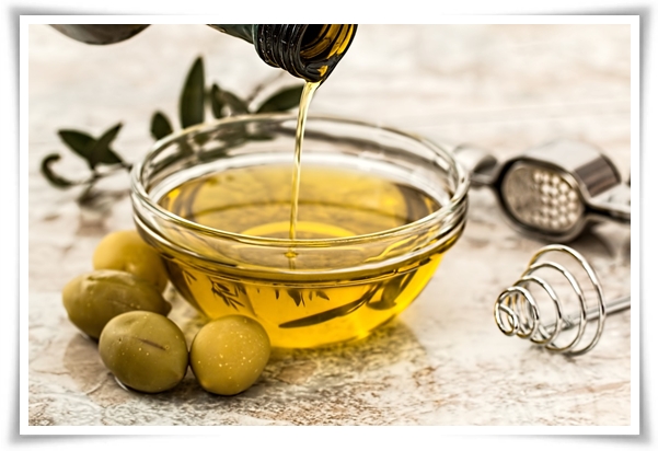 "올리브나무 키우기" 집에서 즐기는 지중해의 향기 정원!