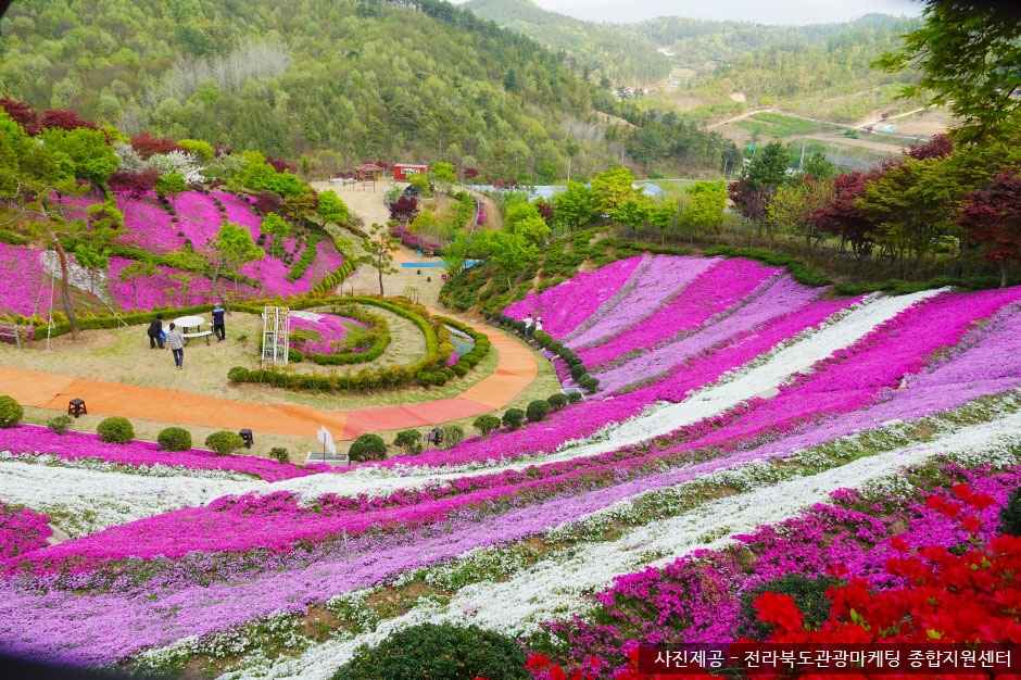 진안꽃잔디동산