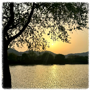 순천동천