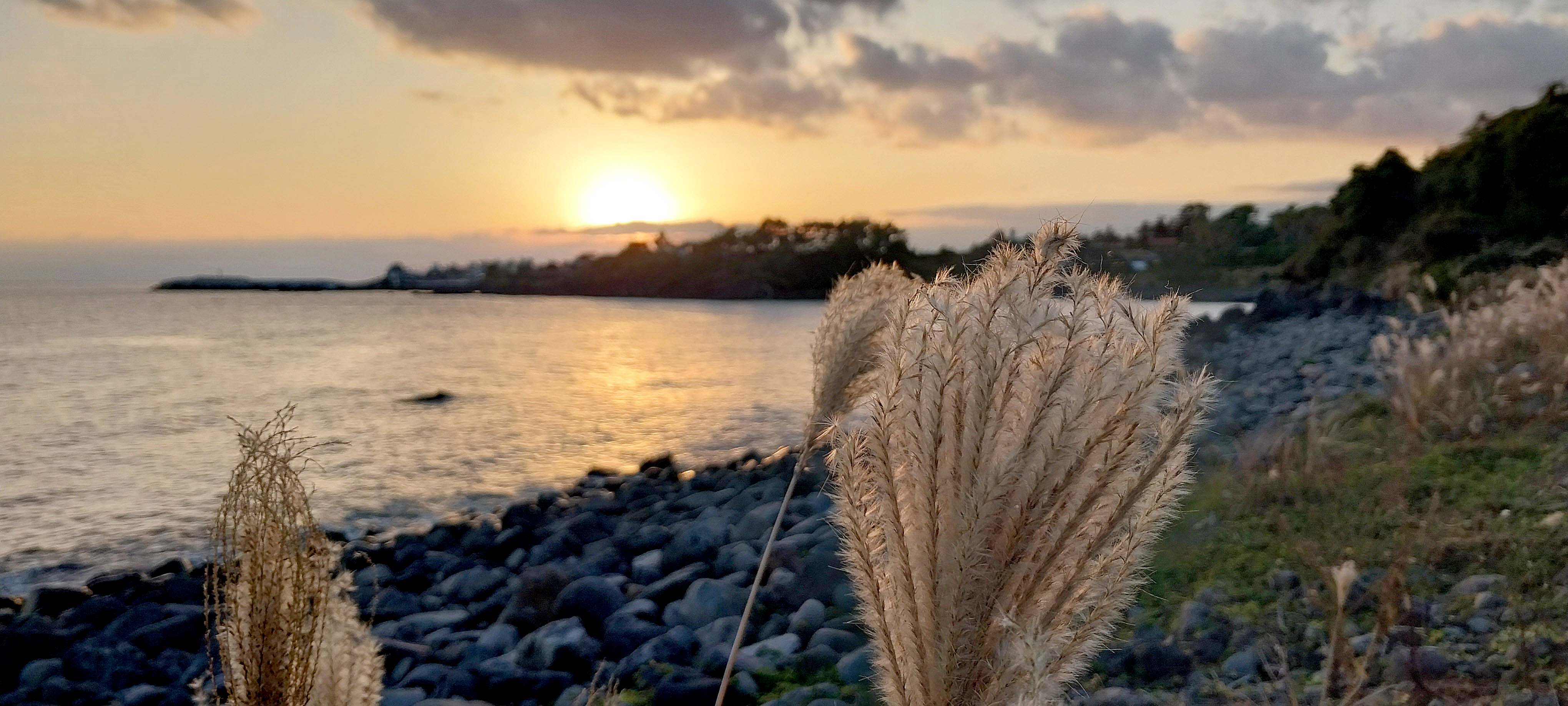 법환바다 컬러는 DIC·Pantone 별색